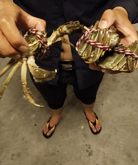 ����һ������ֻ�з