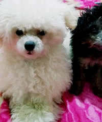 �˱�?����ϵ�С�