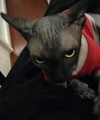 ˭����ëè����