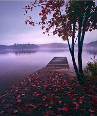 �����ȹ������ĵͳ���