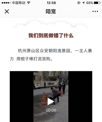别造谣了!昨天萧山打狗的不是在执法,也不是城管!