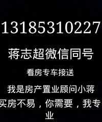 嘉善市中心首付二十几万