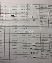 马蓉打响反击战!晒出明细力证王宝强说谎,结果给陈思诚拉了好感