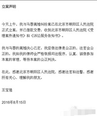 马蓉连环料爆不停,细数王宝强3大罪状:卖惨造谣、侵占房