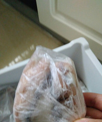 海鲜