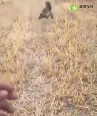 �������ײ������ұ��������룡�����������