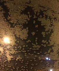 我的工作比较特殊 希望在杭州开车的你能松一脚油门