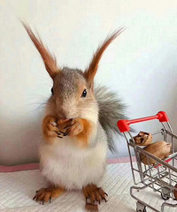 �����������ģ�΢�ż�18358645451