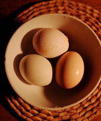 ������˯����