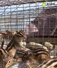 ��һ�ٸ�����ֱ����Ѱ��ʵ��ң���춯����