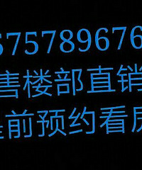 嘉兴住宅,盛大启动国际商务区唯一(不绑定