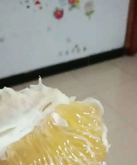 ?7?8【今日上新?7?8】珍果生态园刚试吃了葡萄柚