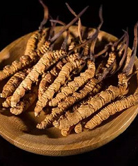 冬虫夏草被踢出“保健品”之列!食药监局:长期服用存较高风险!