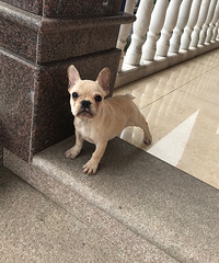 ���ͷ���