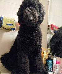 ����ľ��͹��ת��