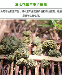 三七花的功效有什么呢?三七花的功效与作用及禁忌大家知道吗?
