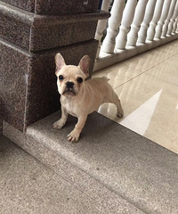 ���ͷ���