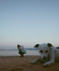 �����ҵ�С����