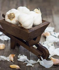 越「难吃」的食物越有营养?真相是......