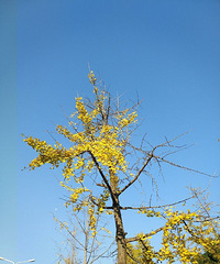 ���Ϻ�(^_^)��