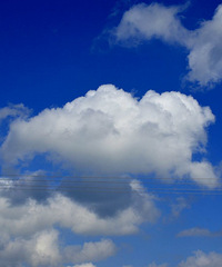 ��������ʵ���ڸм��ͣ��ͱ���˵���Ǹ����Ķ���Ϊ����