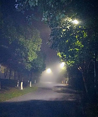 ����ҹ�������