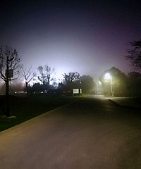 ����ҹ�������