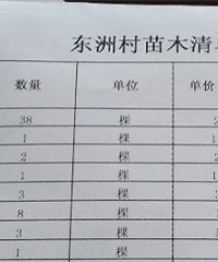 关于东洲街道拆迁问题!