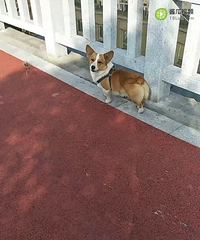 ˫Ѫͳ��֤�飬15���¹������ˣ�ϲ����˽