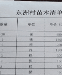 ���޽ֵ���Ǩ��������