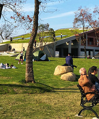 ���Ҳ�Ĵ��ƺ��ȫ�����ˣ�