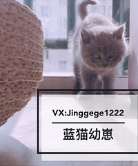 ̨�ݽ����� ��è���̿ɰ�����