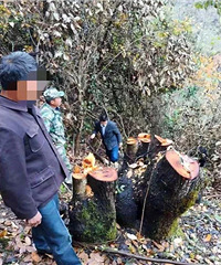 临安有人因为这件事吃了官司