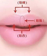 案例分享讲解M唇的几点特征