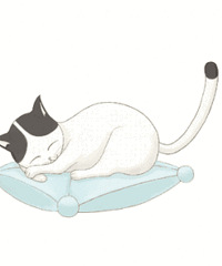 冬天没猫的人就撸羊绒吧