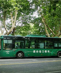 592班次减少,变成定班车