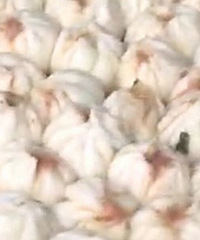 ���ٶ�Ӫͷ�ļ�����̯ȥ����