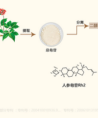 今幸牌的人参皂苷rh2和其他皂苷有什么区别?
