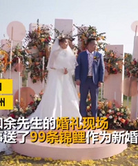 奇葩同事!结婚送99条锦鲤,新娘:炖了它!