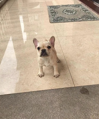 ���ͷ���