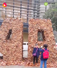12月5日下午许多游客在南山路落叶堆积的雕塑面前围观和拍照.
