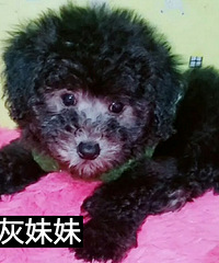 ������̩�ϳ���