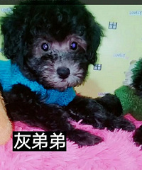 ������̩�ϳ���