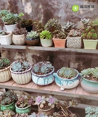 ̨�ݿ�ʼ������