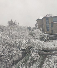 2018��ĵ�һ����ѩ