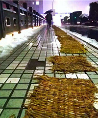 �������Ϻ����е�ů��