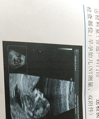 С��������