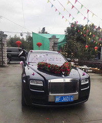 我的车我做主