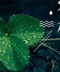 �����ƻ�����Ͷ��Լ14��Ԫ