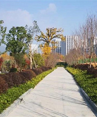 ����һ�󲨹������׼�����Ϯ